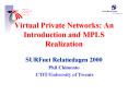 Virtual Private Networks: An Introduction and MPLS Realization