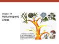 Chapter 14 Hallucinogenic Drugs