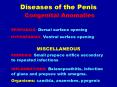 Diseases of the Penis Congenital Anomalies