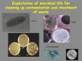 Exploitation of microbial life for cleaning up contamination and treatment of waste