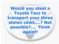 Would you steal a Toyota Tazz to transport your three stolen cows' Not possible''' Think again