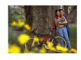 What are the characteristics of living organisms