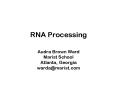 RNA Processing