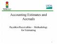 Accounting Estimates and Accruals