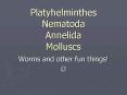 Platyhelminthes Nematoda Annelida Molluscs