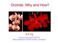 Orchids: Why and How