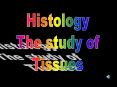 Histology