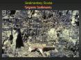 Sedimentary Rocks