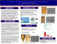 Ultrasonic vs' Sonic Endodontic Systems: Do they improve canal cleanliness and Obturation