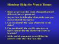 Histology Slides for Muscle Tissues