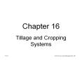 Tillage and Cropping Systems
