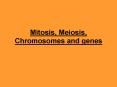 Mitosis, Meiosis, Chromosomes and genes