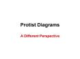 Protist Diagrams