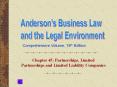 Chapter 45: Partnerships, Limited Partnerships and Limited Liability Companies