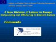 A New Division of Labour in Europe Outsourcing and Offshoring to Eastern Europe