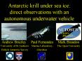 Antarctic krill under sea ice: direct observations with an autonomous underwater vehicle