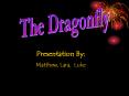 The Dragonfly
