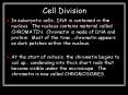 Cell Division