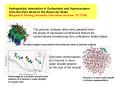 Hydrophobic Interaction in Surfactants and Hydrocarbons