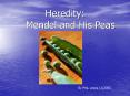 Heredity: Mendel and His Peas