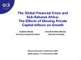 The Global Financial Crisis and SubSaharan Africa: The Effects of Slowing Private Capital Inflows on