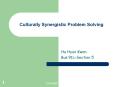 Culturally Synergistic Problem Solving