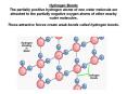 Hydrogen Bonds The partially positive hydrogen atoms of one water molecule are attracted to the partially negative oxygen atoms of other nearby water molecules.