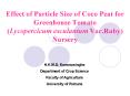 Effect of Particle Size of Coco Peat for Greenhouse Tomato Lycopercicum esculantum Var'Ruby Nursery
