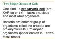 Two Major Classes of Cells