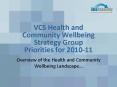 VCS Health and Community Wellbeing Strategy Group Priorities for 201011