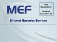 An Overview of the Work of the