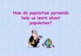 How do population pyramids help us learn about population