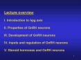 Lecture overview I' Introduction to hpg axis II' Properties of GnRH neurons III' Development of GnRH