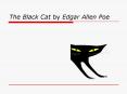 The Black Cat by Edgar Allen Poe