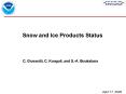 Snow and Ice Products Status