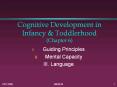 Cognitive Development in Infancy