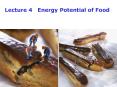 Lecture 4 Energy Potential of Food