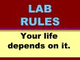 LAB RULES