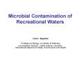 Microbial Contamination of Recreational Waters
