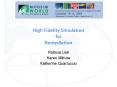 High Fidelity Simulation for Remediation