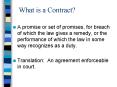 What is a Contract
