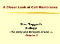 A Closer Look at Cell Membranes