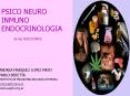ALIMENTO RECEPTORES SUSTANCIAS DA SEXO LIMBICOS Y TOXICAS PARALIMBICOS