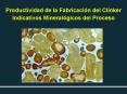 Productividad de la Fabricacin del Clnker Indicativos Mineralgicos del Proceso