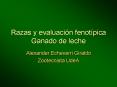 Razas y evaluacin fenotpica Ganado de leche