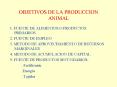 OBJETIVOS DE LA PRODUCCION ANIMAL