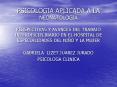 PSICOLOGIA APLICADA A LA NEONATOLOGIA PERSPECTIVAS Y AVANCES DEL TRABAJO INTERDISCIPLINARIO EN EL HO