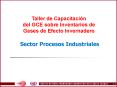 Taller de Capacitacin del GCE sobre Inventarios de Gases de Efecto Invernadero Sector Procesos Indus