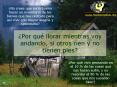 No crees que sera bueno hacer un inventario de los bienes que has recibido para as vivir con mayor a