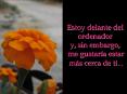 Estoy delante del ordenador y, sin embargo, me gustara estar ms cerca de ti'''